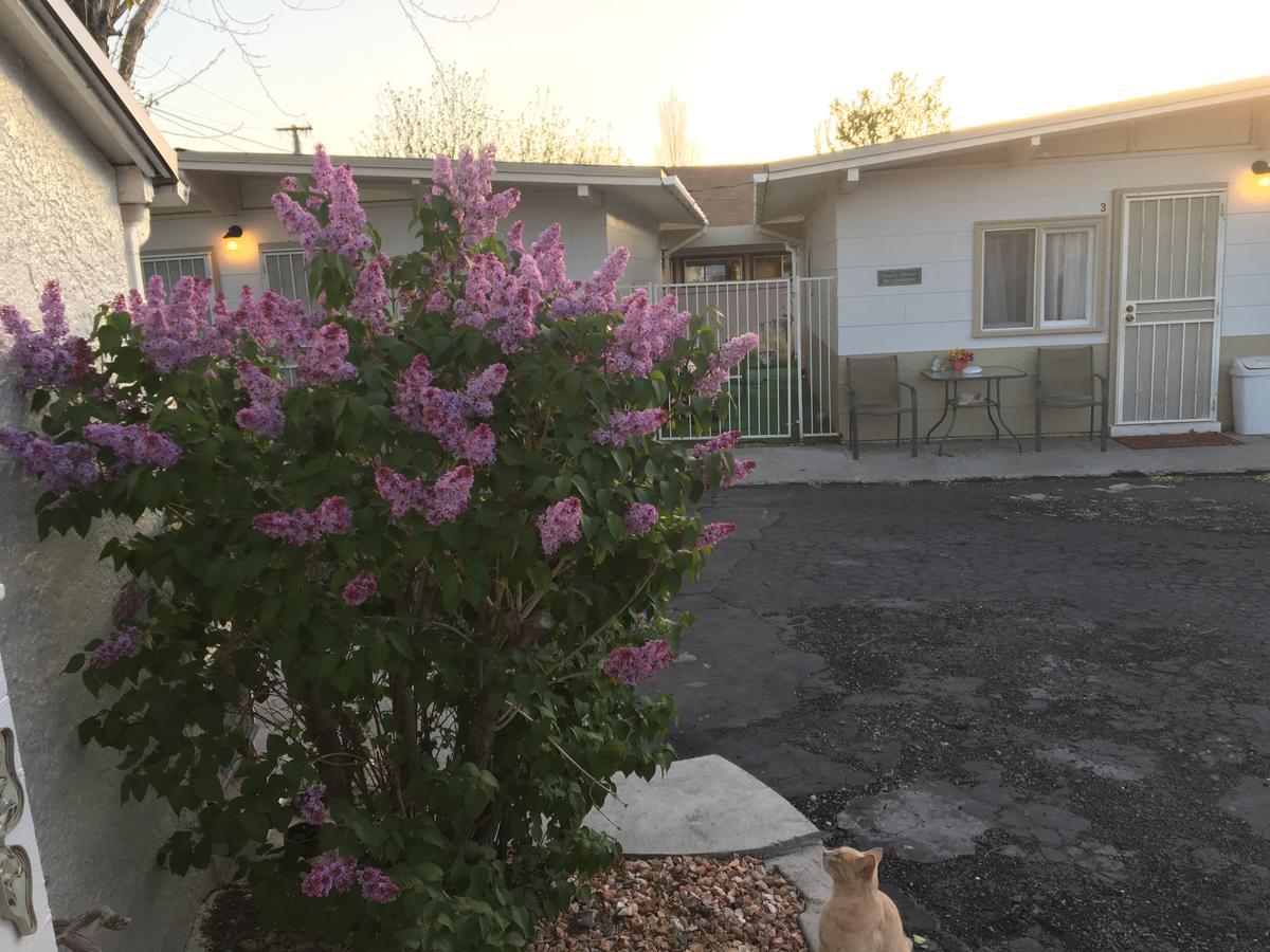 Midway Motel Caliente Exterior photo